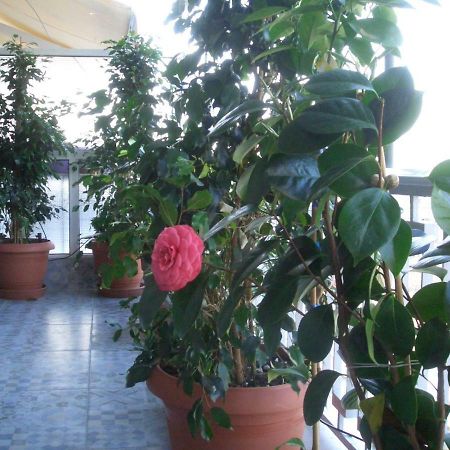 Athens Penthouse Cosy Apartment Exterior foto
